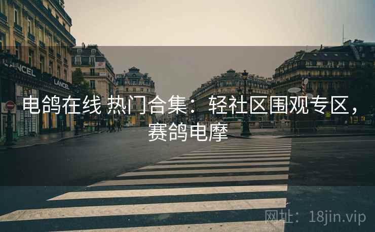 电鸽在线 热门合集：轻社区围观专区，赛鸽电摩