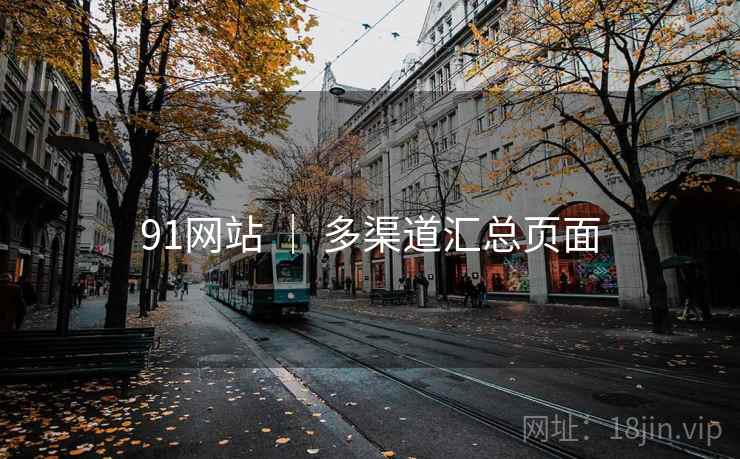 91网站 ｜ 多渠道汇总页面