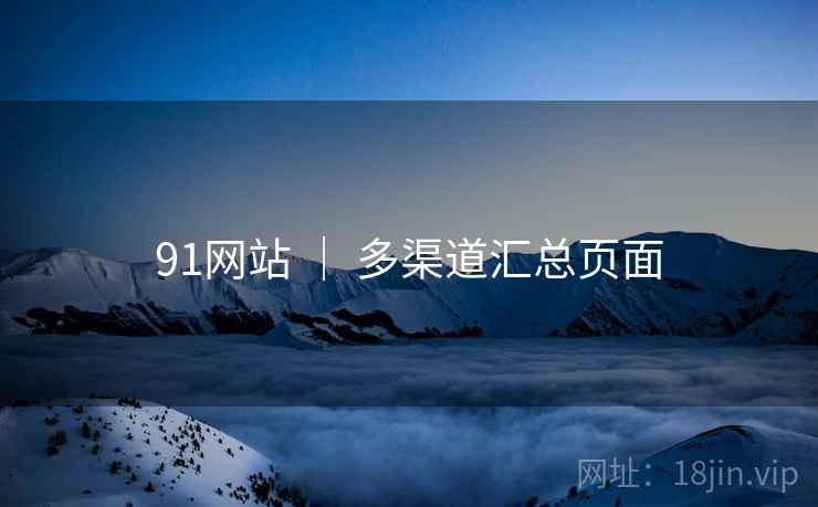 91网站 ｜ 多渠道汇总页面