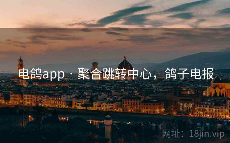 电鸽app · 聚合跳转中心，鸽子电报